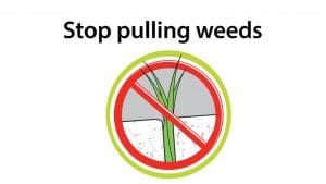 paving sand that stops weed growth